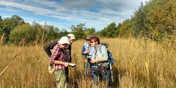 A field meeting at Scarning