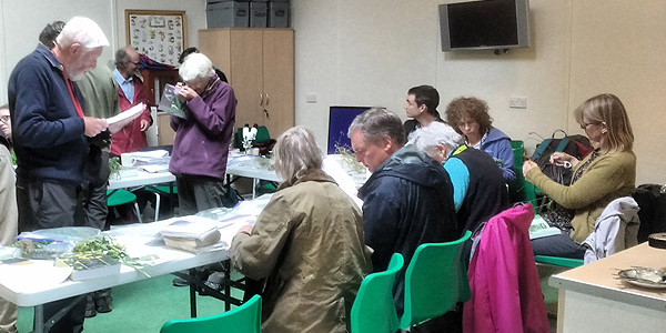 A workshop at the Wheatfen Study Centre