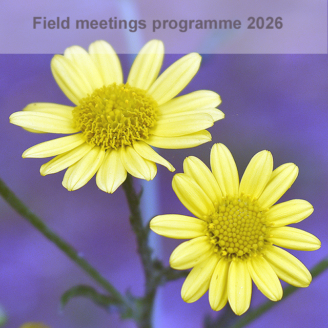 Field meetings programme 2026