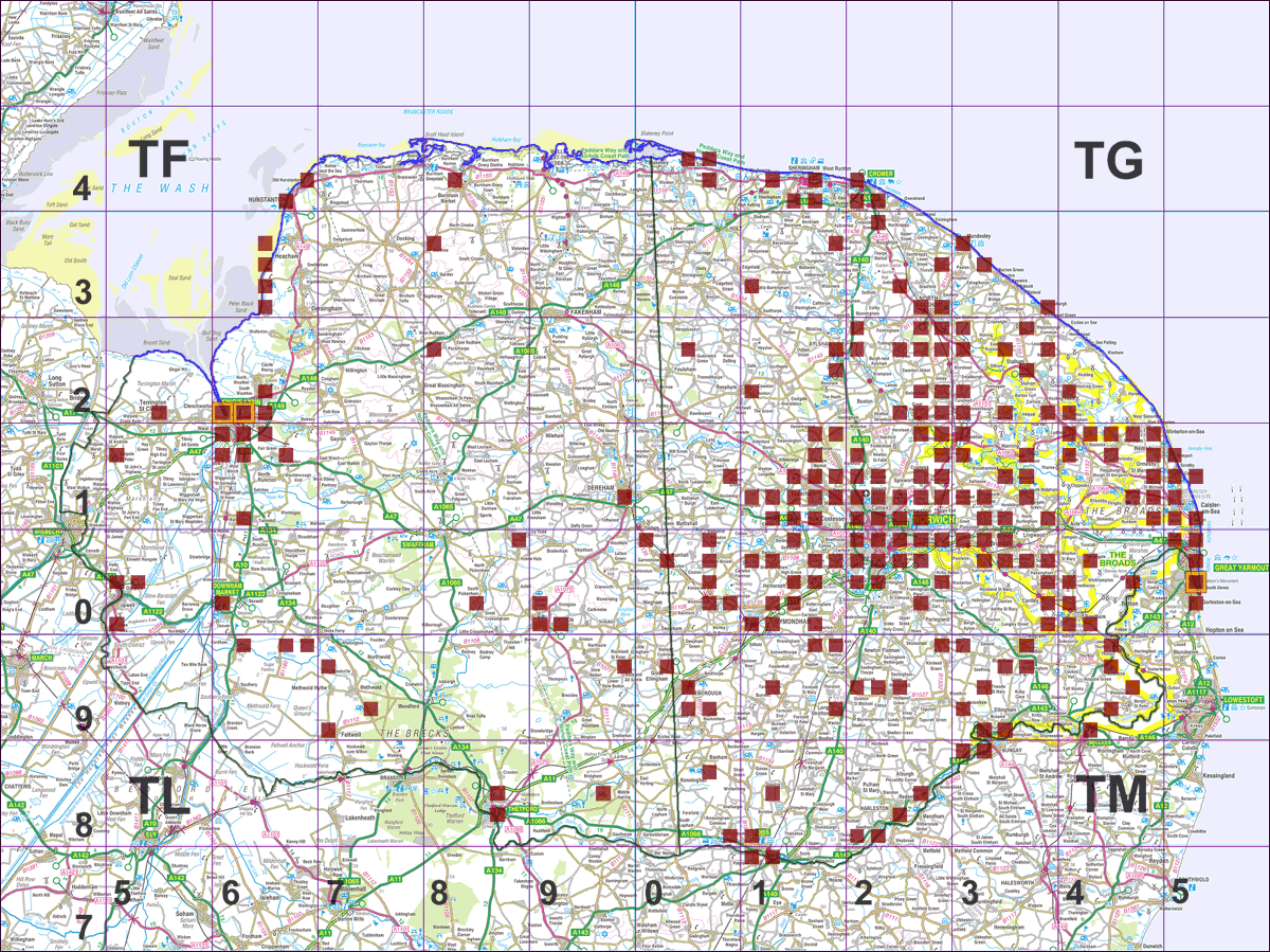 Guernsey Fleabane map