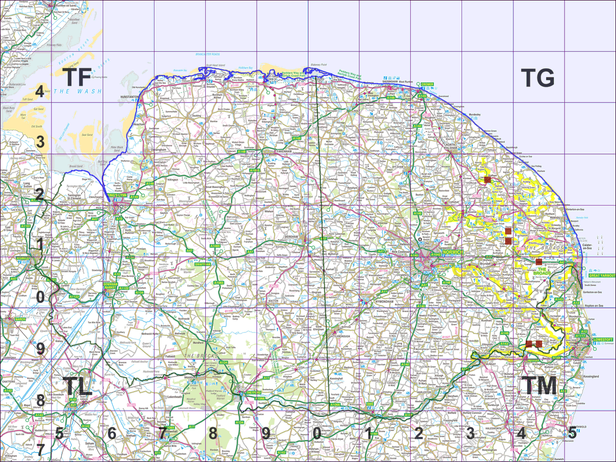 Lemna turionifera tetrad map