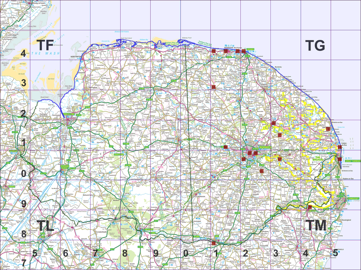 Poa infirma tetrad map