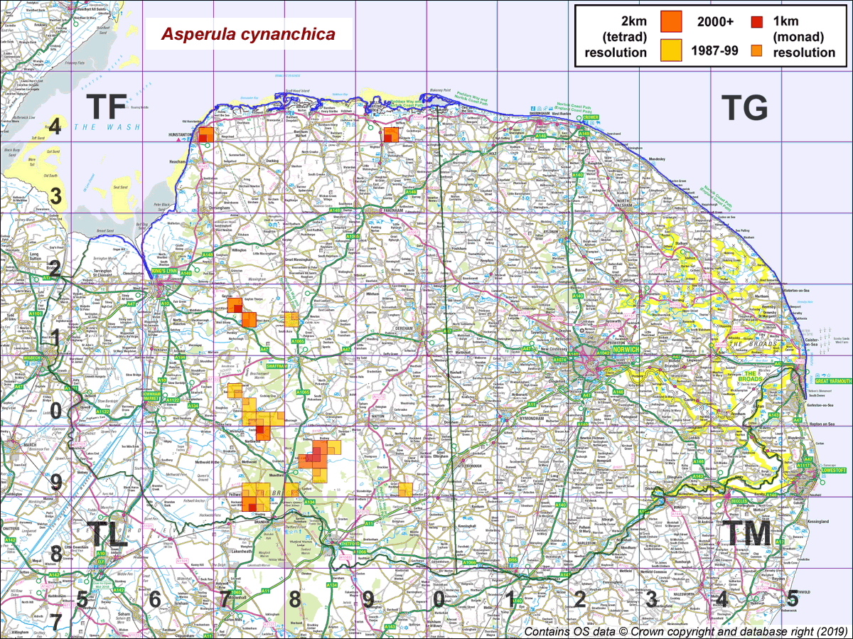 asperula cynanchica map