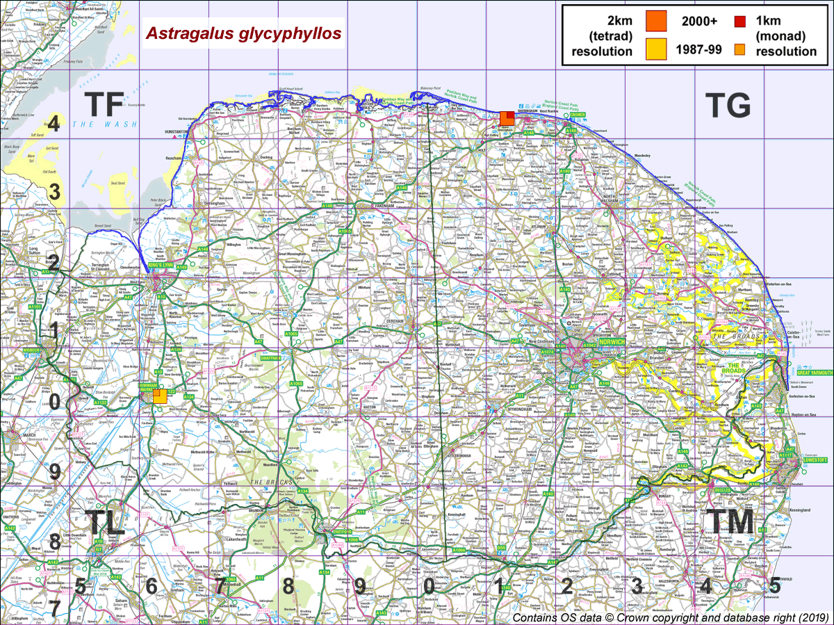 astragalus glycyphyllos map