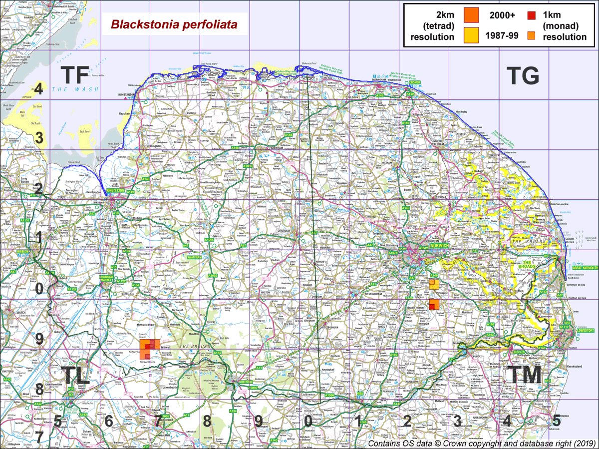 blackstonia perfoliata map