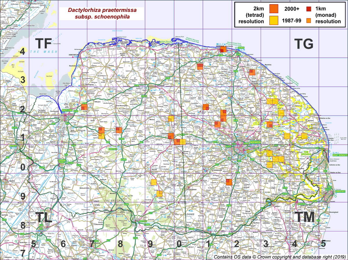 Dactylorhiza praetermissa subsp. schoenophila map