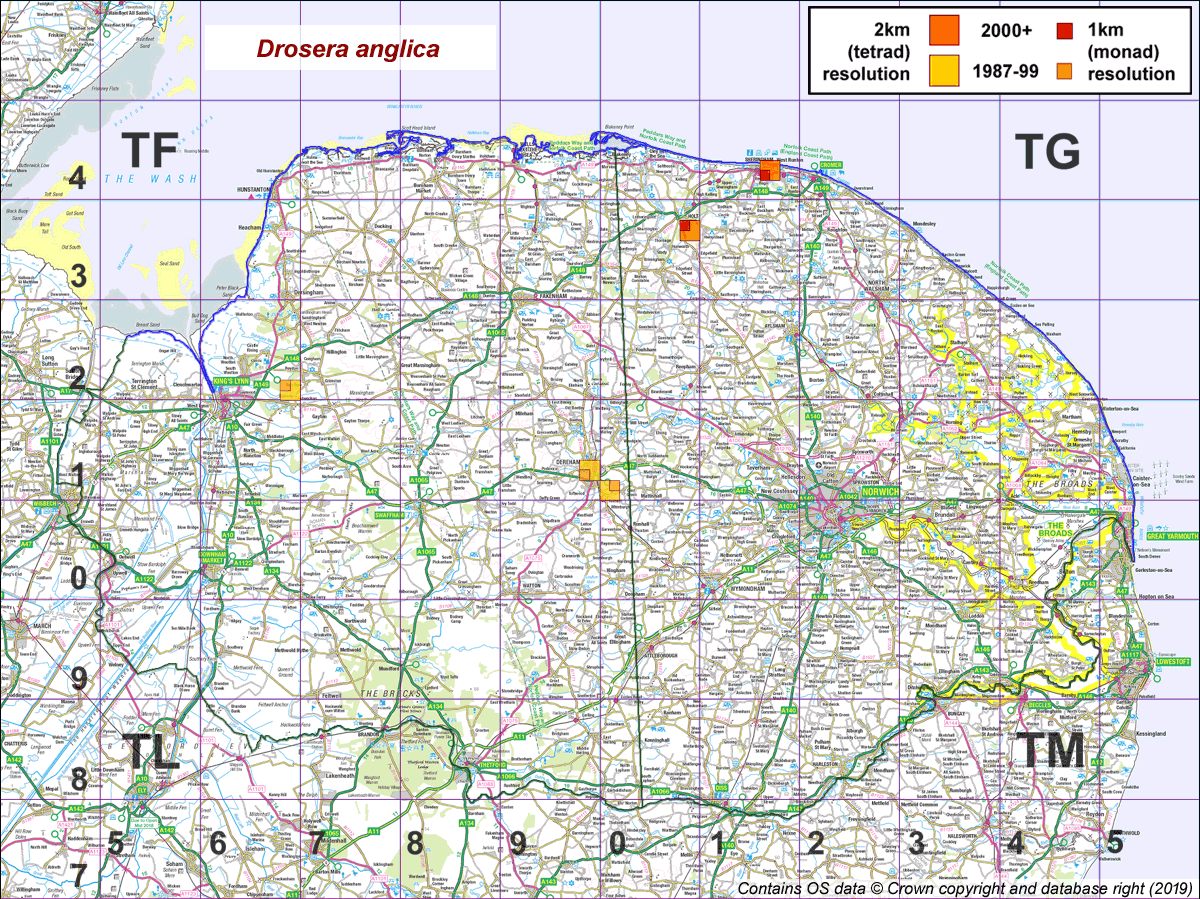 Drosera anglica map