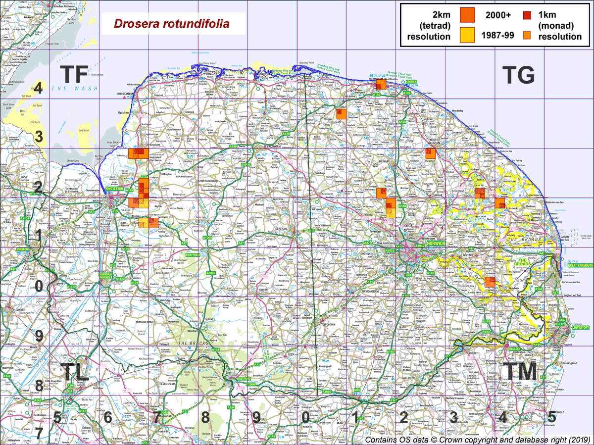 Drosera rotundifolia map