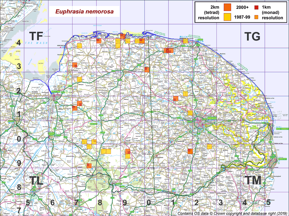 Euphrasia nemorosa map