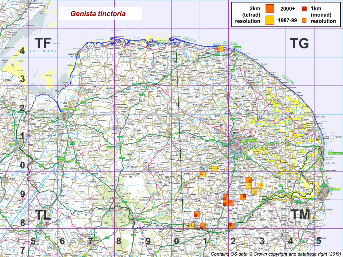 Genista tinctoria map