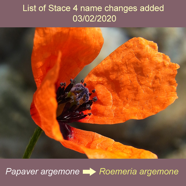 list of Stace 4 name changes added
