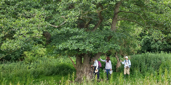 A field meeting